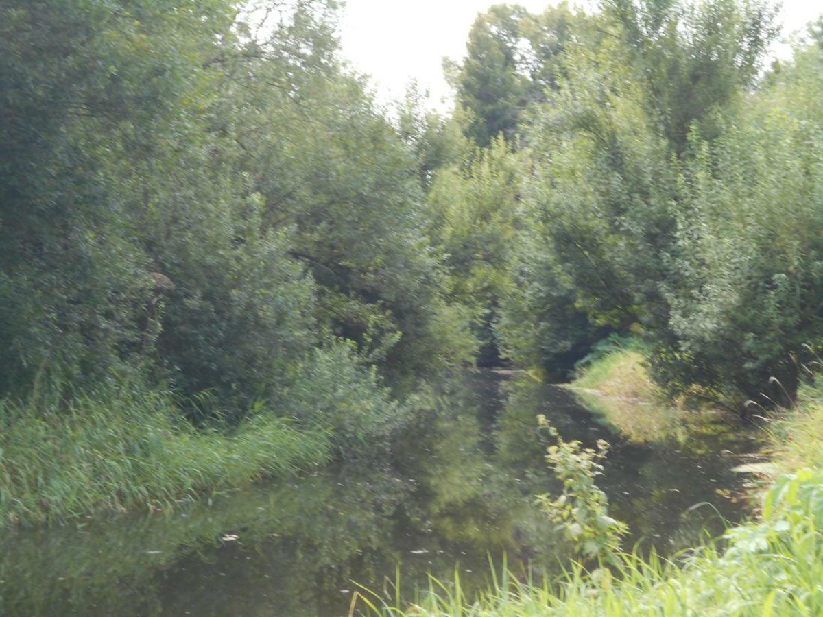 Appartamento Fewo Fleckeby An Der Schlei Esterno foto